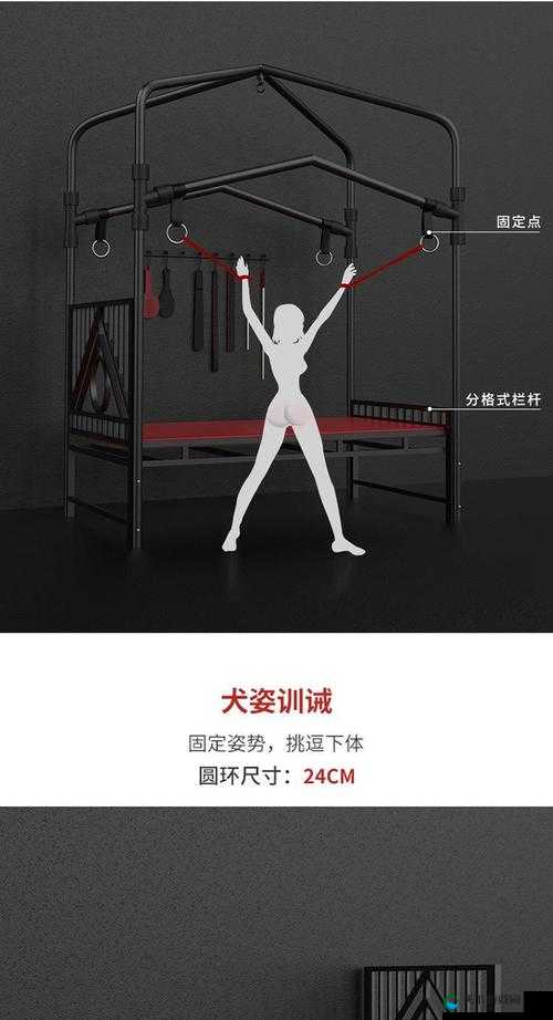 被绑在调教椅上强迫闻内裤：揭秘极端情境下的心理与行为反应分析