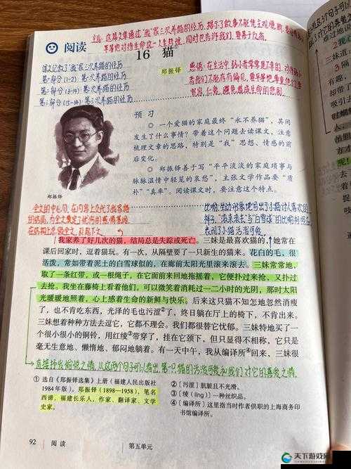 好呀，请您先给我提供一下猫老爹的主要内容，这样我才能生成