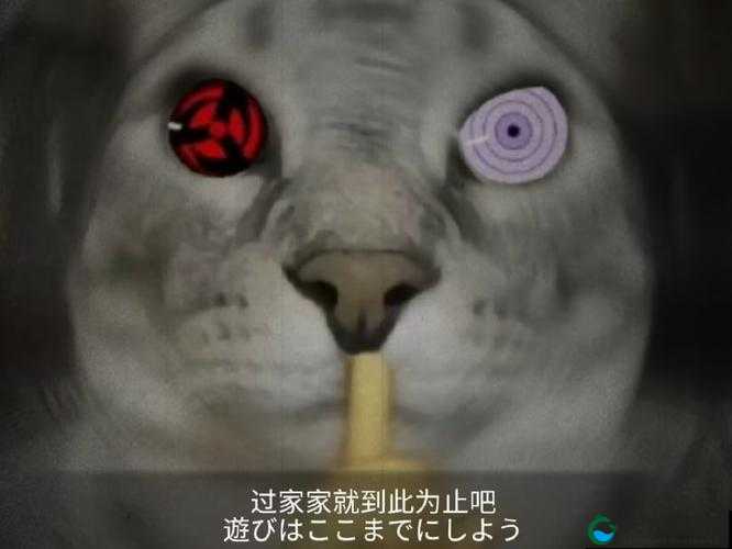 新春黑土奥义图究竟有何特别之处？快来一探究竟