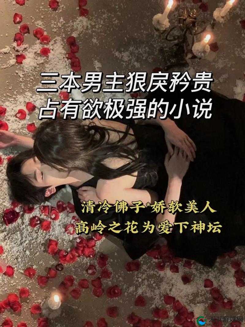 男主占有欲强偏执的高岭之花究竟有着怎样的情感世界？探秘其独特魅力