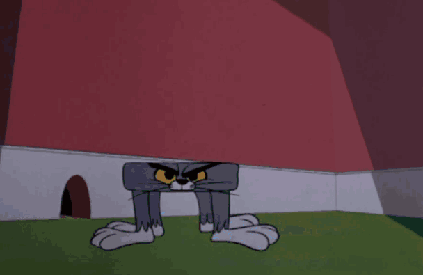 汤姆影院 TOM 最新消息大揭秘想知道它有哪些精彩动态吗？快来一探究竟