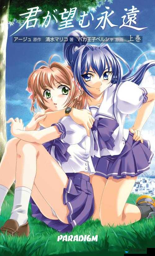 二次元动画免费观看大全，你想知道的都在这里