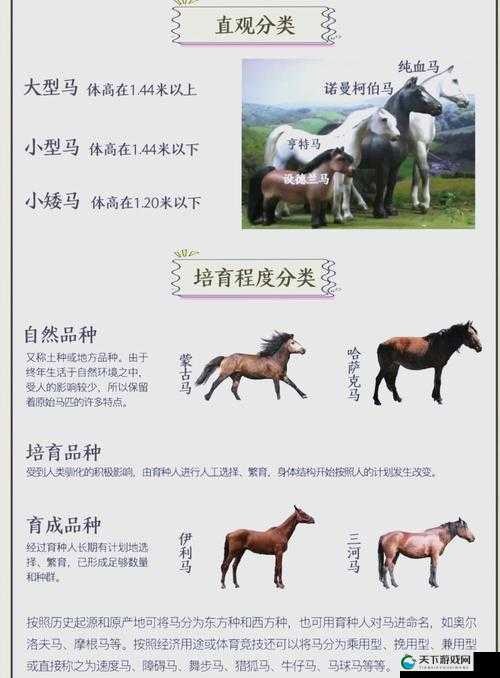 家有好马初养成，怎么繁育养成一匹好的坐骑的演变史