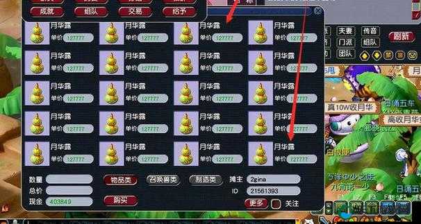 梦幻宝贝装备升级配方大揭秘，资源管理的艺术