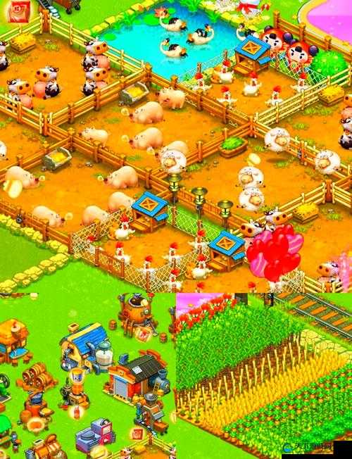 全民农场中期经验技巧总结与中期玩法演变史