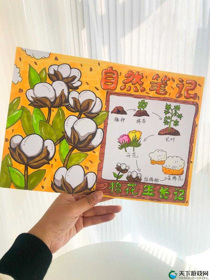卡通农场棉花怎么种？棉花种植方式详解