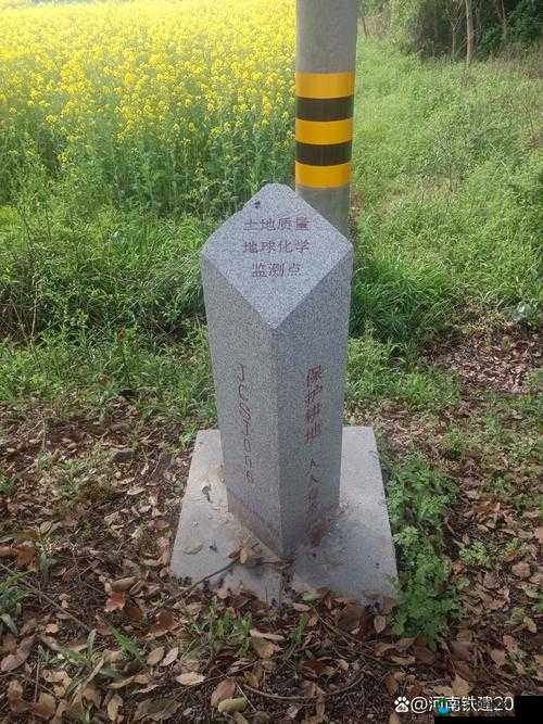 卡通农场标桩怎么得，标桩获得攻略介绍及其在资源管理中的重要性