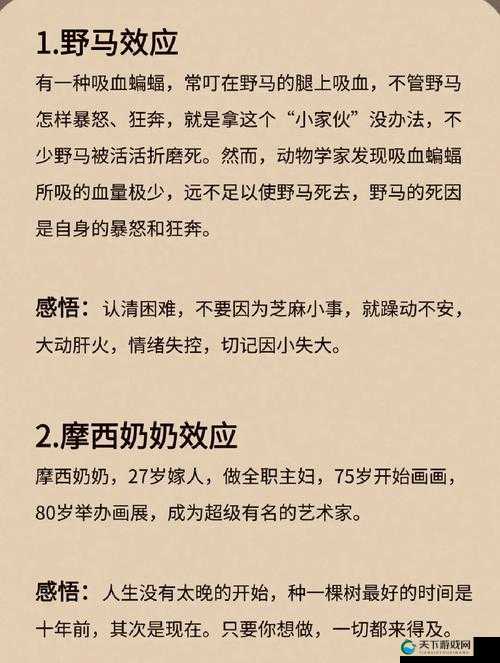 幻世西游许愿石介绍，底层逻辑、实战应用与界面优化