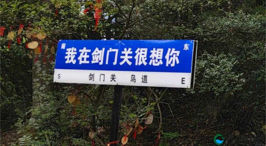 山口山战记祈祷街巷，解锁通关秘籍，征服神秘街巷