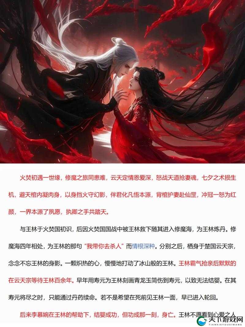 逆天魔仙结婚系统大揭秘，寻找另一半的底层逻辑与操作映射