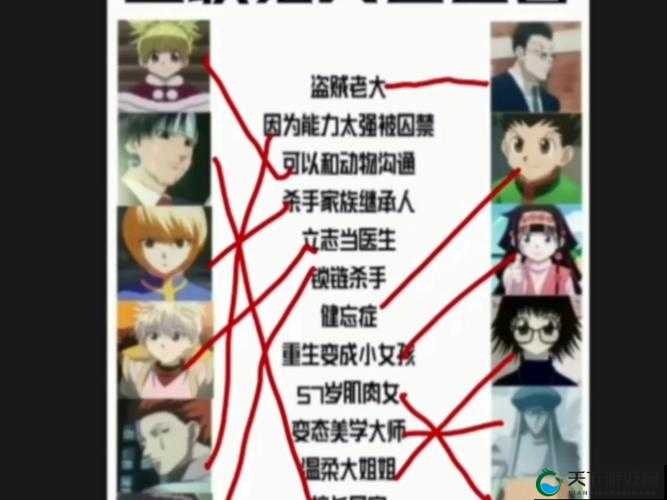 秘宝猎人猎人团体深度解析