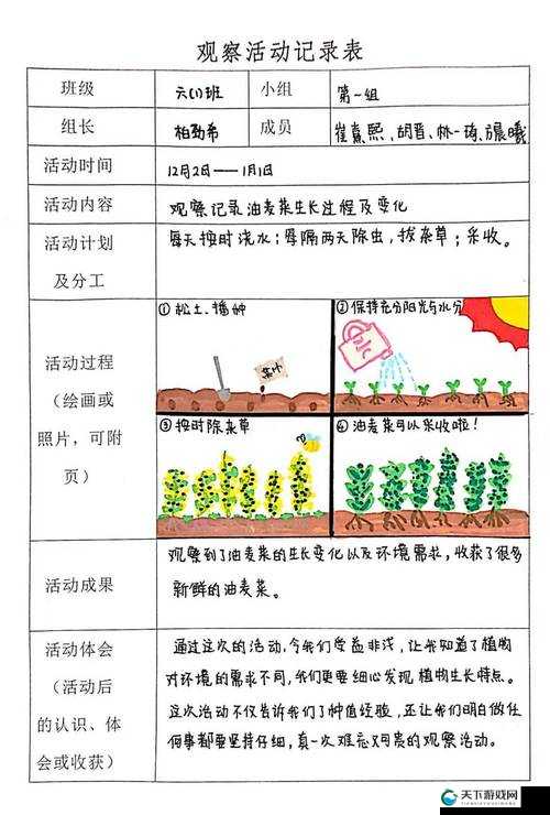 燃烧的蔬菜3糖果种子种植蔬菜品质分析之演变史专题