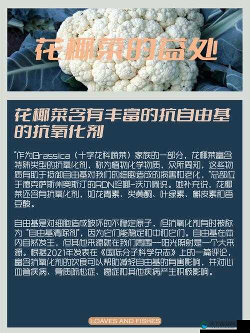 燃烧的蔬菜3四星满级花椰菜攻击力分析