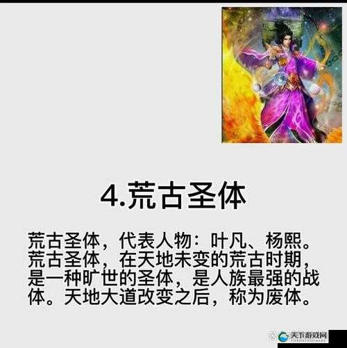 遮天3D圣体技能全解析，圣体技能效果说明及深度玩法探索
