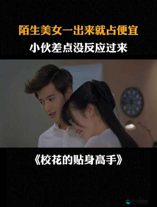 校花的贴身高手副本系统深度解析，玩法创新、剧情深挖与玩家适配