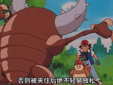 口袋妖怪VS之铁甲蛹