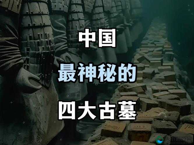 为什么古墓吸引人？探墓风云告诉你答案
