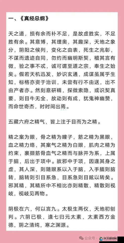 九阴真经3D护书玩法攻略