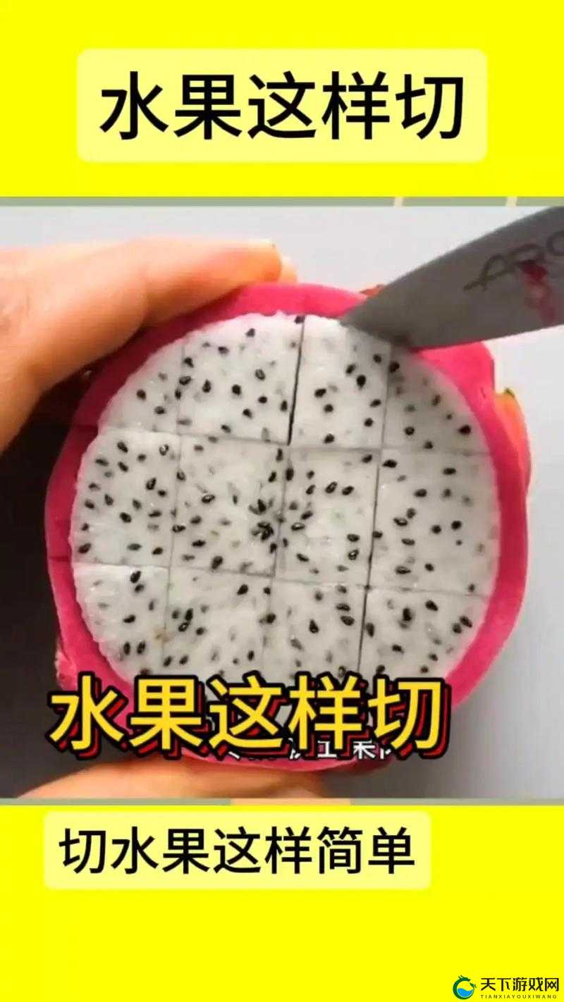 切水果新手必看，从零开始的畅快之旅
