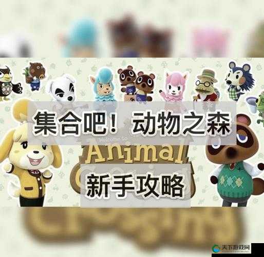 如何在Switch动物森友会中查看动物的好感度？详细查看方法与技巧解析