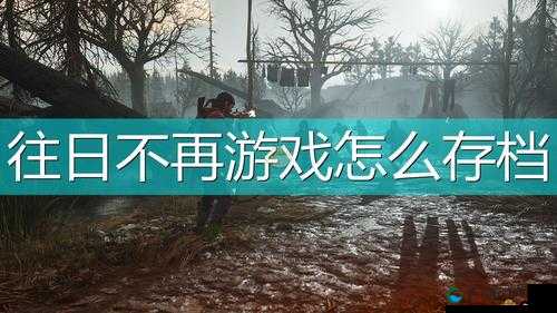 往日不再怎么保存 游戏存档方法分享：详细教程与实用技巧