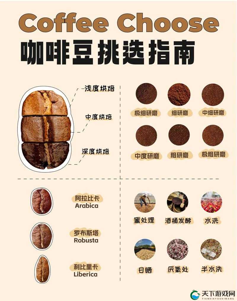 珊瑚岛咖啡豆怎么样：品质如何？详细内容介绍