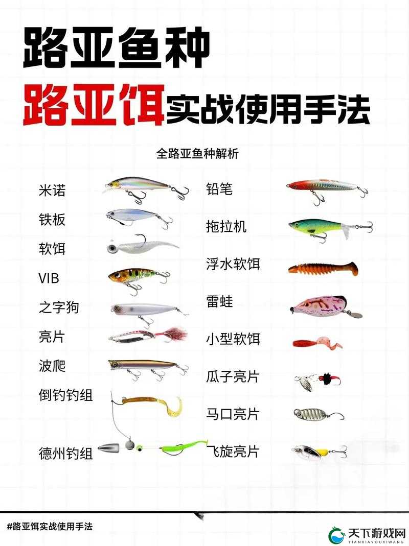 征服的荣耀围城路亚怎么获得？深度解析路亚获得方法与实用技巧