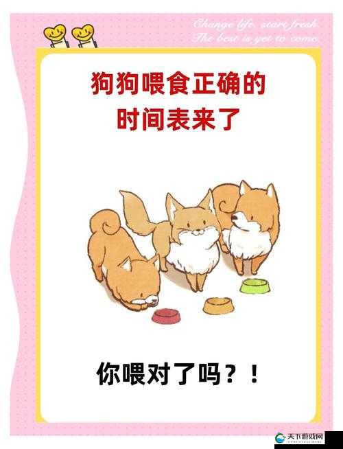 如何正确喂养宠物狗？杏林物语喂食方法全解析