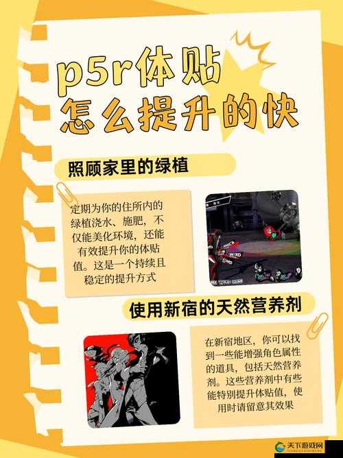 如何在女神异闻录5 P5R皇家版中轻松掌握信念P合成技巧？
