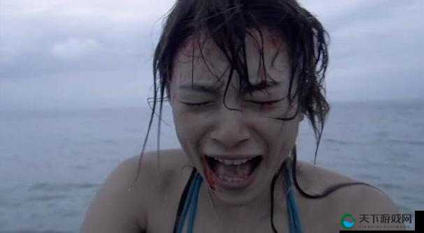 为什么水面下隐藏的杀戮与危机？食人鲨新截图放出背后的真相