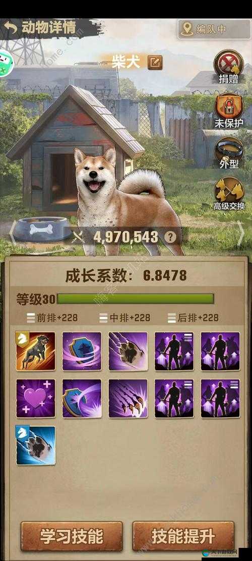 如何有效提升动物迷城的魅力？深度解析获取方法与攻略