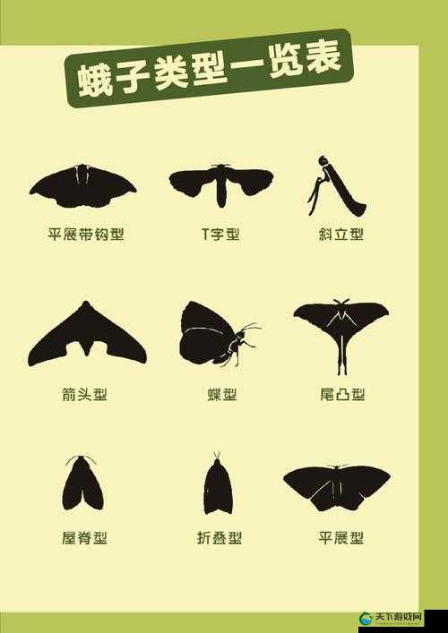 生化变种闪光飞蛾在哪？寻找飞蛾的高效方法全攻略