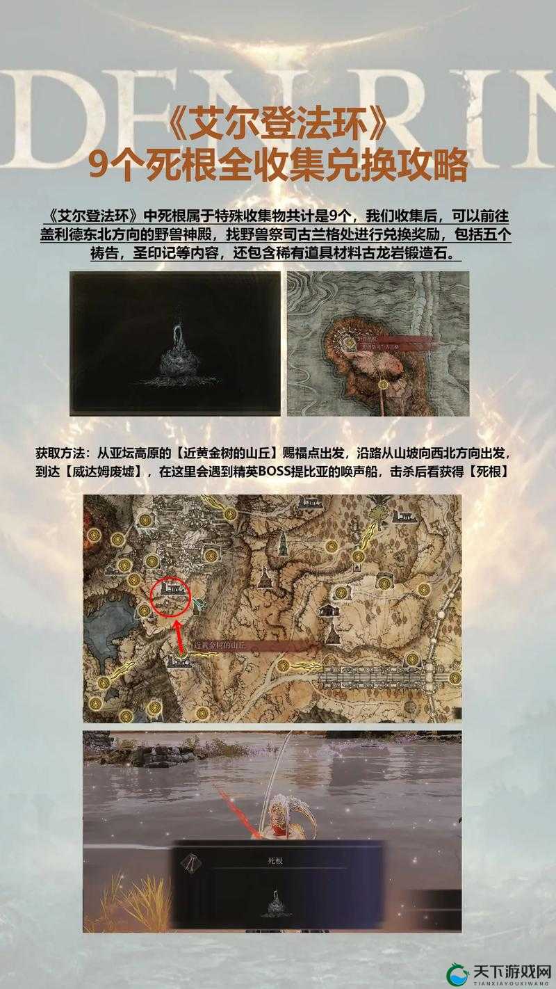 艾尔登法环死根在哪？特殊道具收集攻略全解析