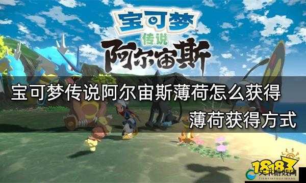 宝可梦传说阿尔宙斯薄荷怎么成熟？让薄荷快速成熟的方法分享