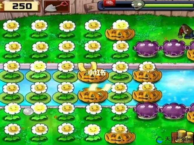 植物大战僵尸怎么刷金币？30金币花阵型分享：高效刷金技巧全解析