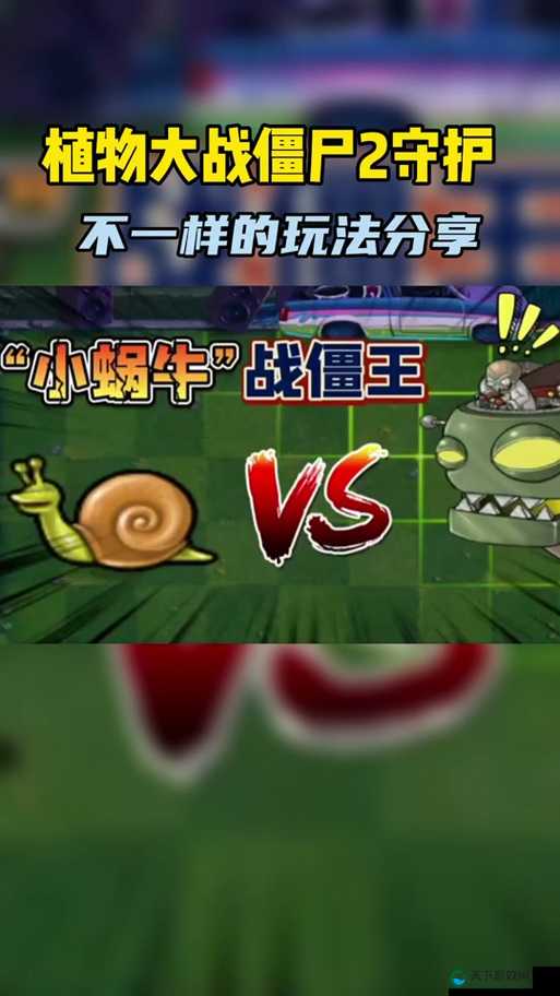 最强蜗牛蜗牛格斗技巧攻略：如何让你的蜗牛成为战斗之王！