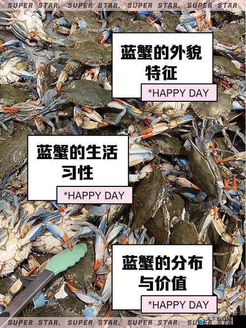 原神海蓝蟹在哪？一图看懂海蓝蟹全图鉴位置汇总