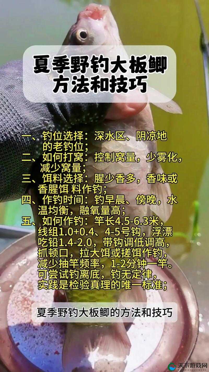 小森钓鱼技巧全解析：畅快体验，轻松上手，享受悠闲钓鱼时光