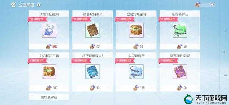 刀剑神域黑衣剑士王牌公会商店购买指南：超值物品与必买清单全解析