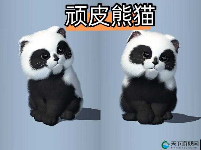 天刀手游猫咪行侠装备攻略：超详细解析！全图鉴+操作技巧分享
