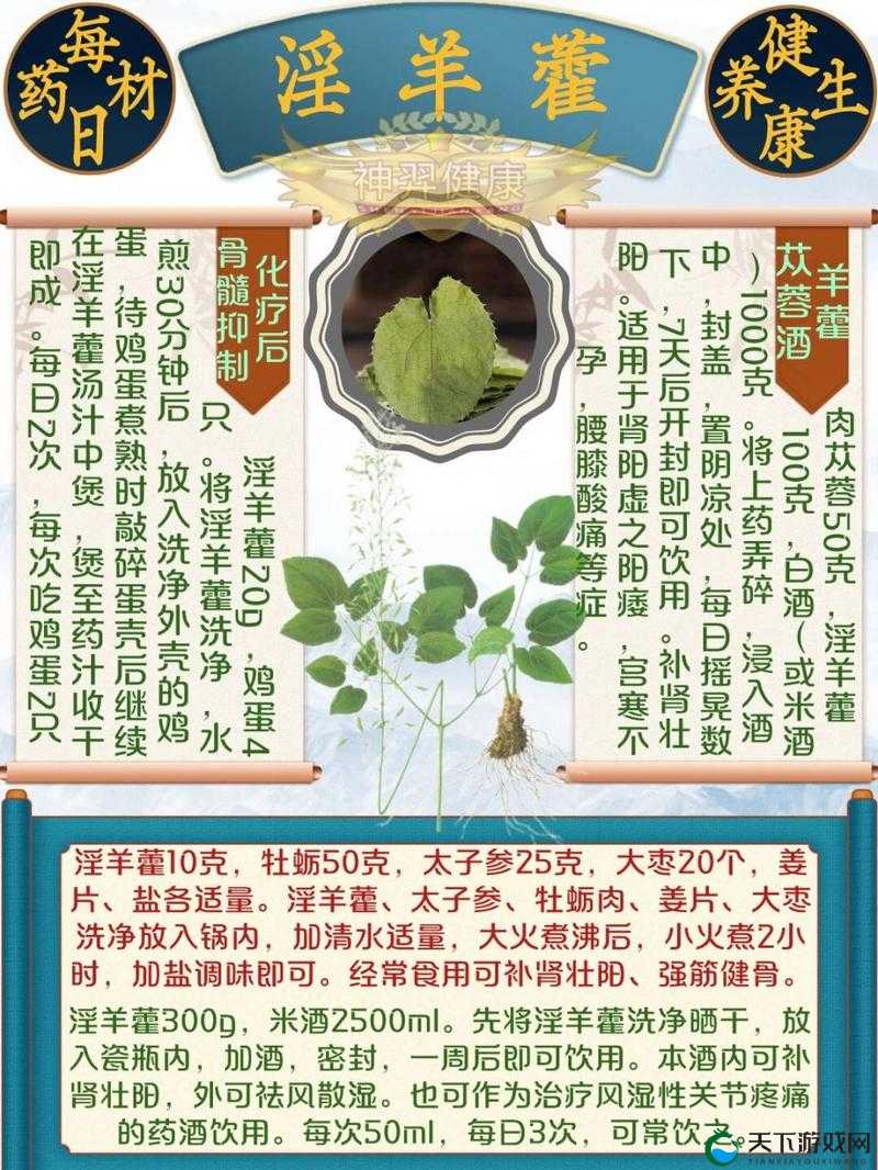 轻松get江湖悠悠绝世秘籍：学会这些技巧，轻松获得淫羊藿