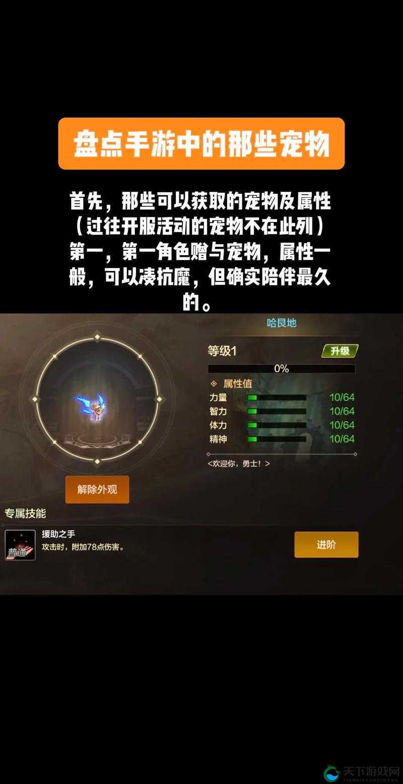 DNF手游光咏之魂史诗宠物获取指南！轻松入手攻略全解析