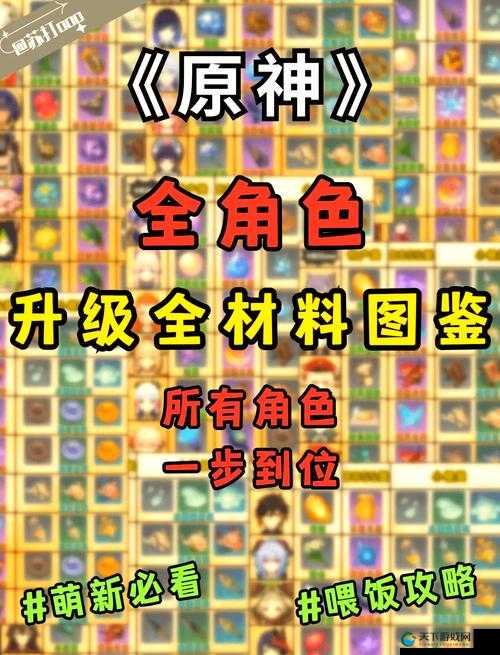 原神盐哀突破必备材料清单  必看攻略！新手必收！