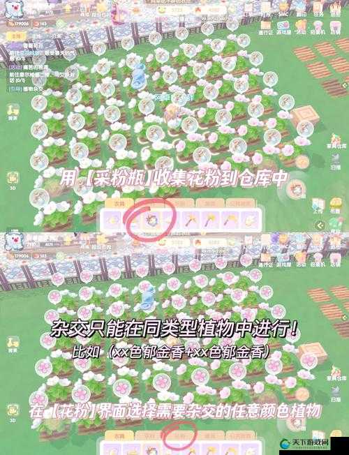 摩尔庄园手游：种菜轻松赚翻天！farm赚钱小技巧全解析