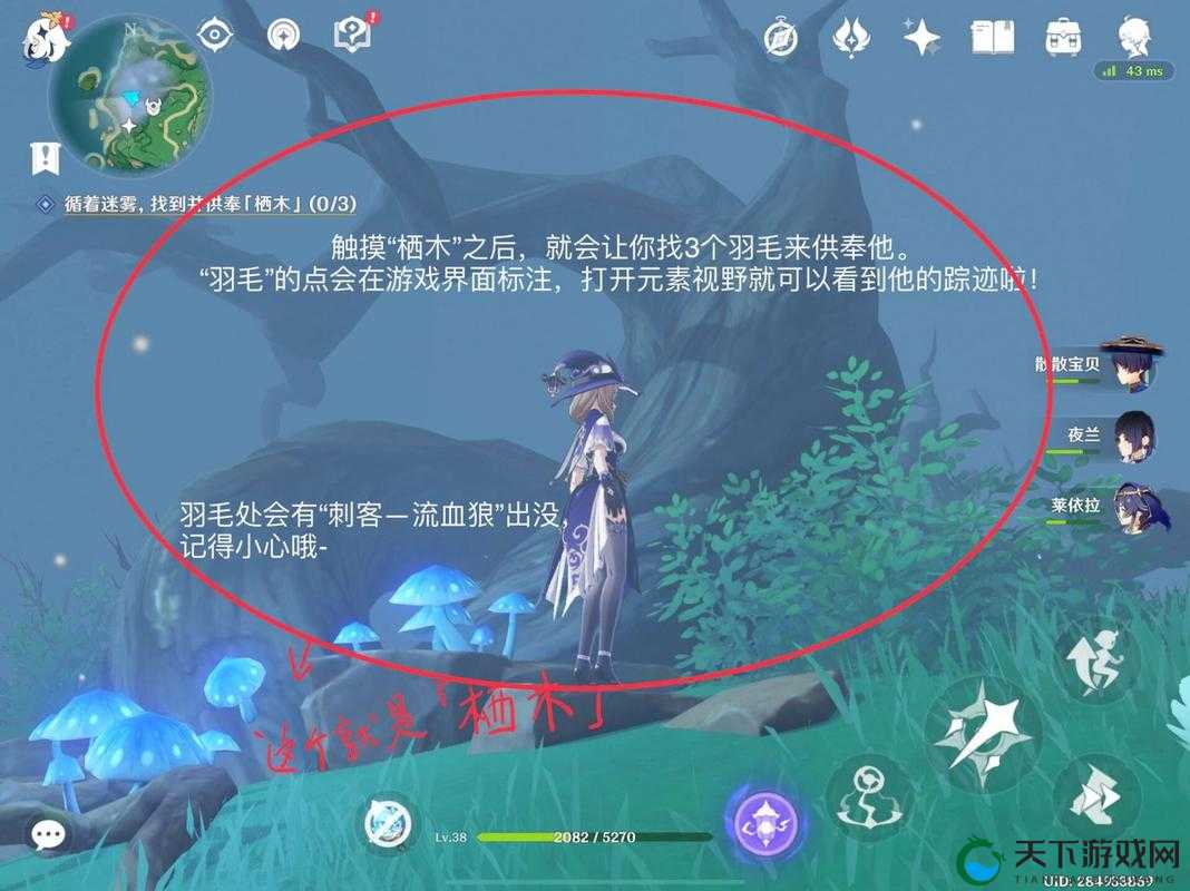 原神迷雾任务全解读：循迹寻回栖木真相！