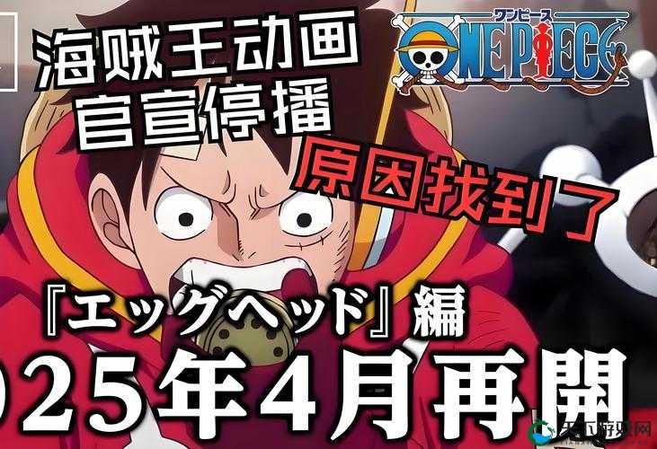 海贼王免费全集在线观看：禁忌海域的缠绵夜