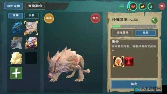 魔法狼王饲料价格全解析！血泪教训告诉你到底要多少够用