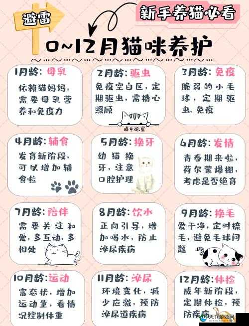 白猫计划手游猫咪图鉴超全攻略！萌系养成党必看的保姆级指南