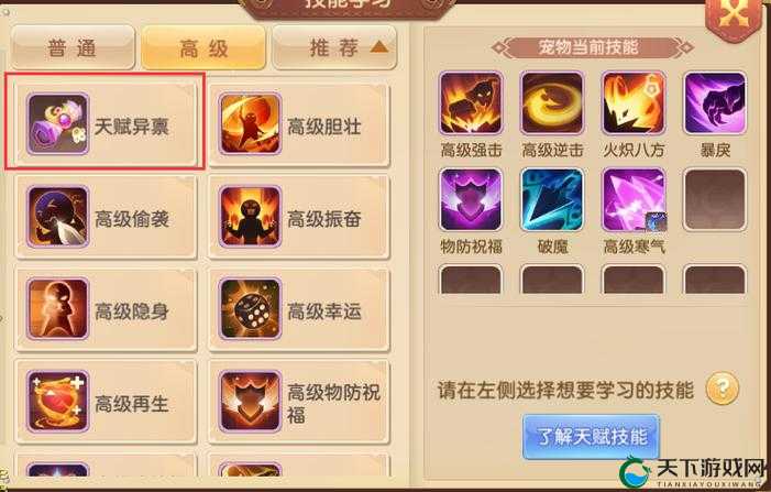 卧虎藏龙手游宠物天赋技能解析！超实用搭配技巧让你的宠物秒变战神