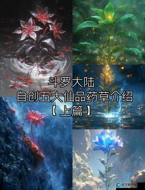 斗罗大陆草药任务位置全公开！保姆级攻略带你轻松刷满资源